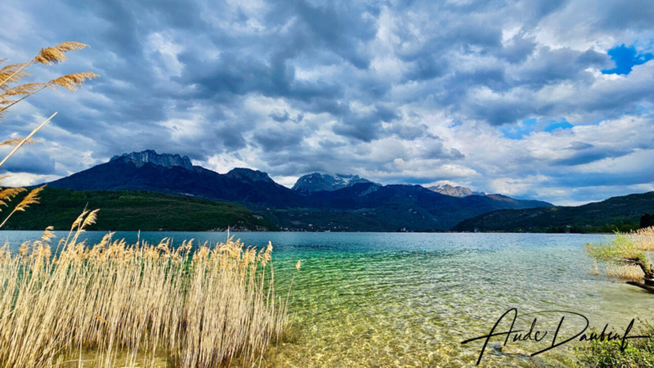 Photos 26 - Prestige - Dpt (74), à vendre propriété au bord du lac d'Annecy