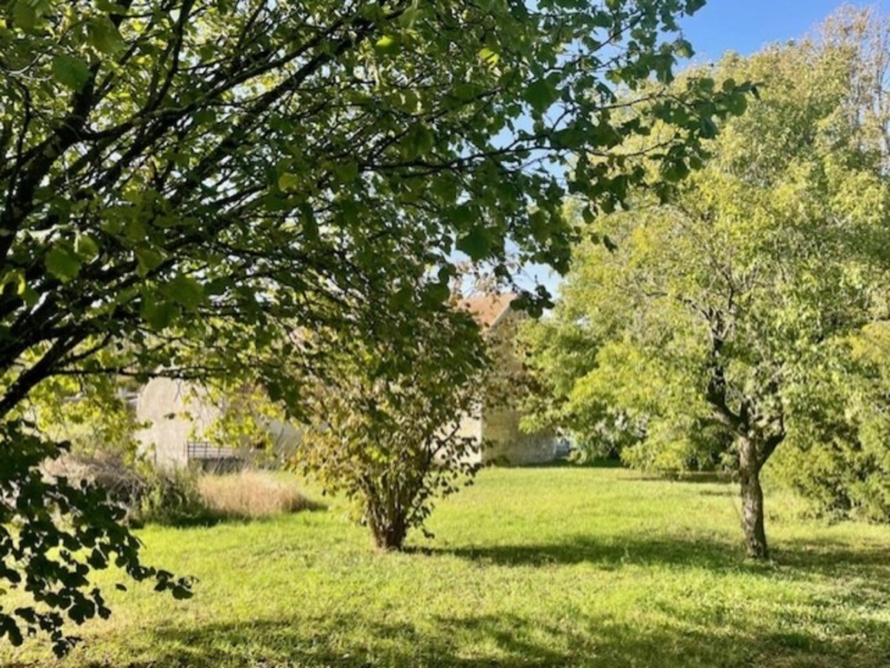 Photos 6 - Touristique - Grange avec écuries de 207 m2 avec jardin arboré secteur OUANNE (89)