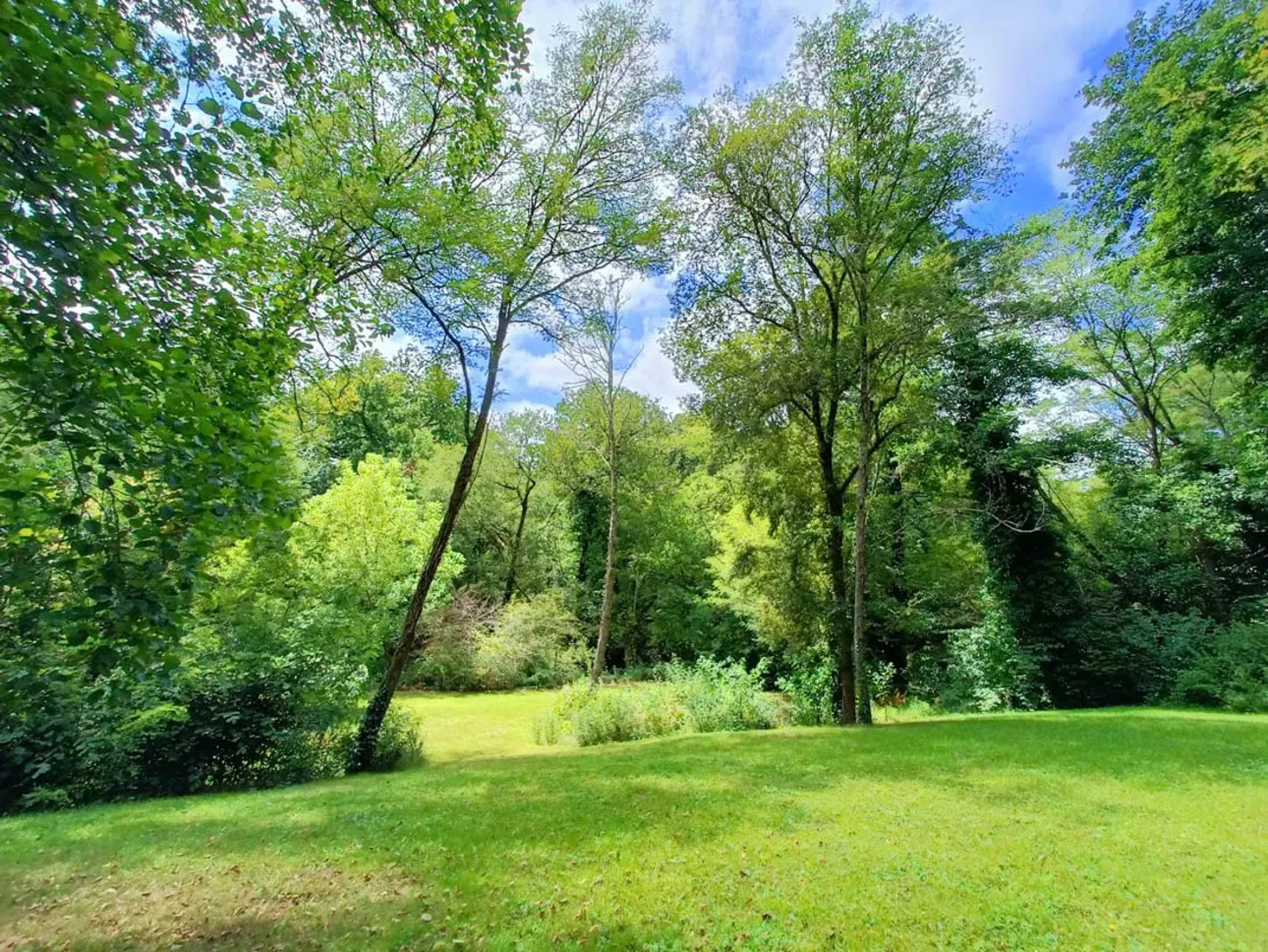 Photos 12 - Prestige - Domaine du 15ème siècle avec un moulin, une ferme  landaise, une rivière sur 2,4 hect