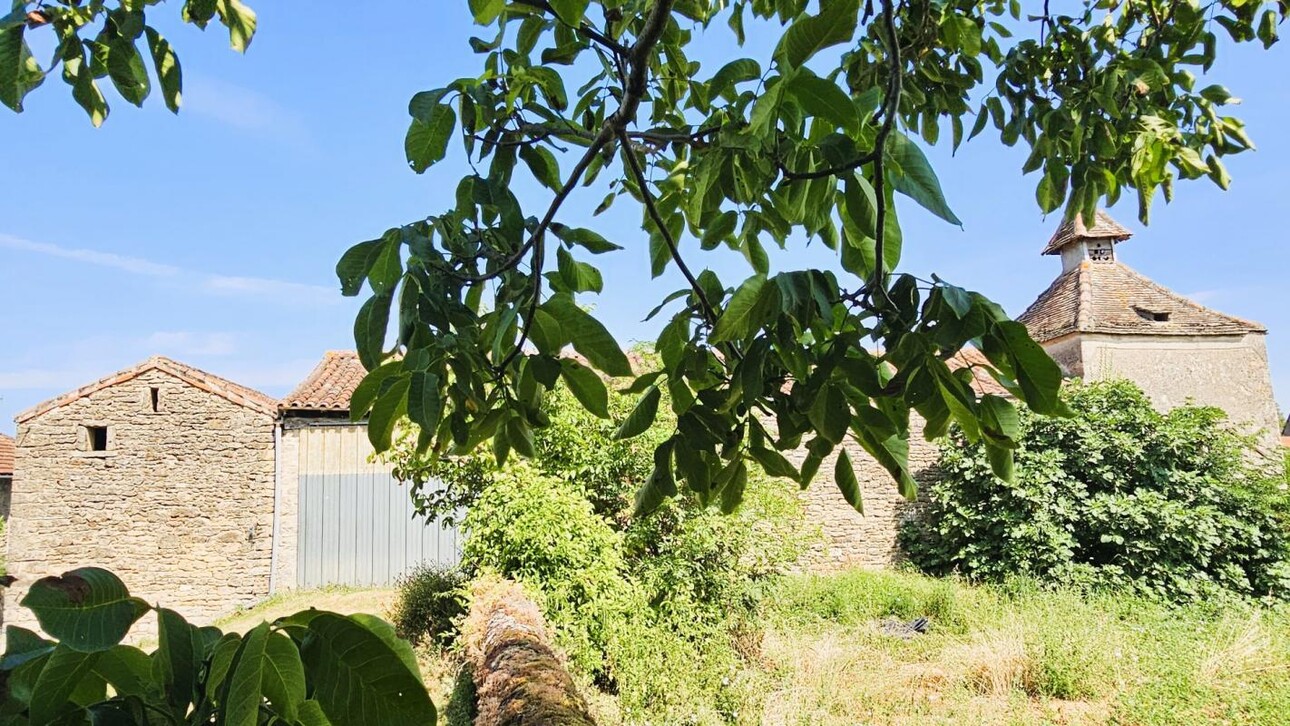 Photos 15 - Tourist - Farm with outbuildings