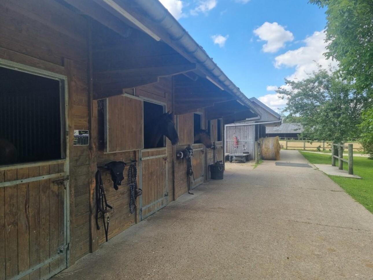 Photos 16 - Equestrian - Magnifique propriété équestre sur 5 ha dans le 95