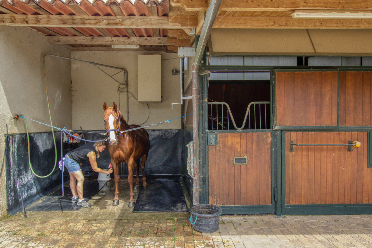 Photos 8 - Equestrian - Exceptional stud farm 15 minutes from Nice