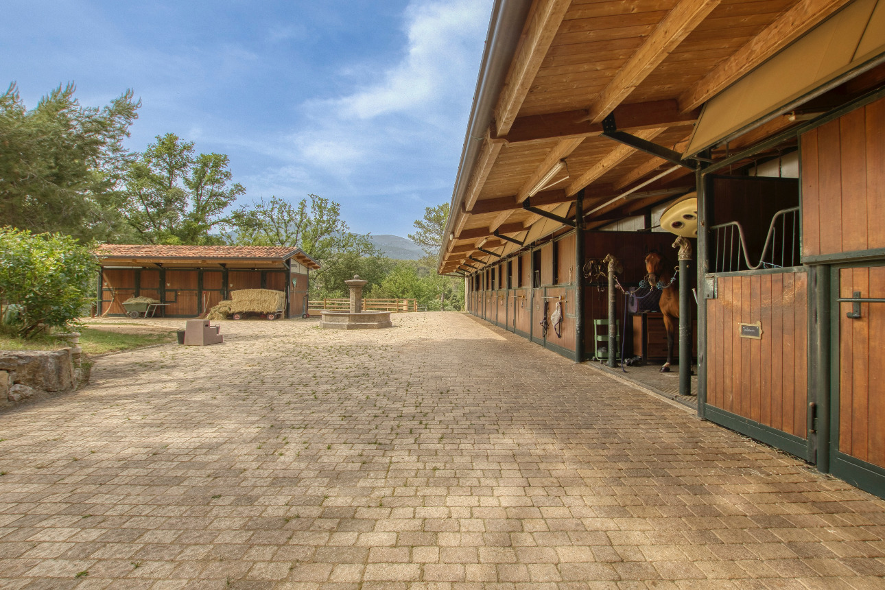 Photos 9 - Equestrian - Exceptional stud farm 15 minutes from Nice