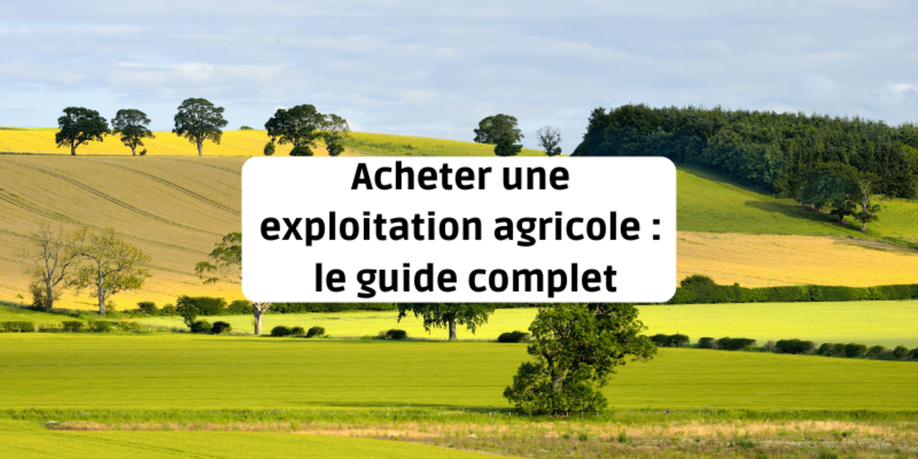 Exploitation agricole à vendre : le guide d'achat complet