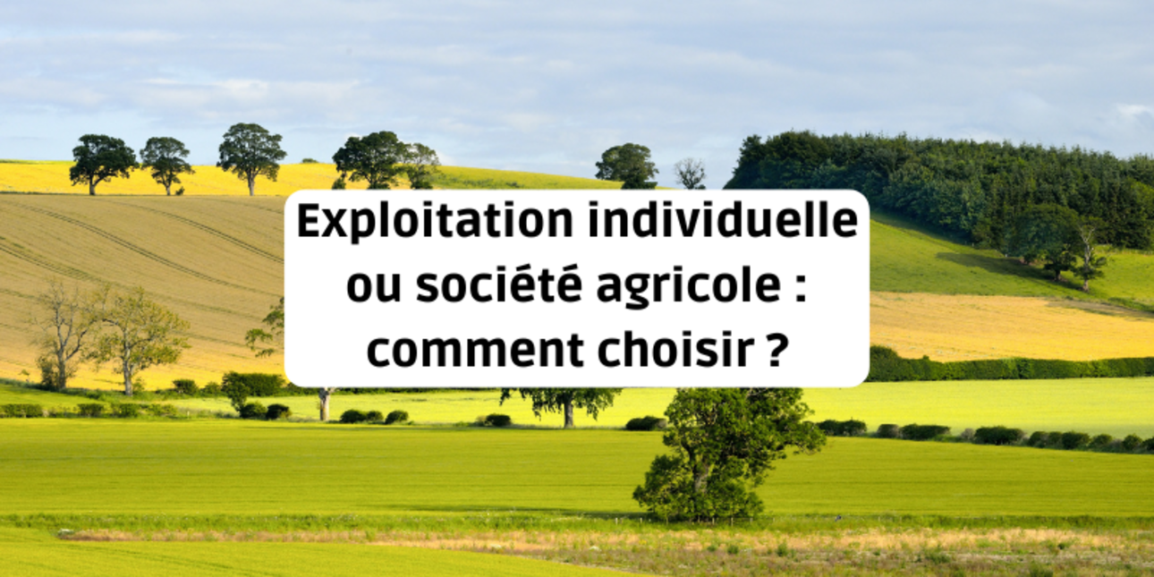 Exploitation individuelle ou société agricole : comment choisir ?