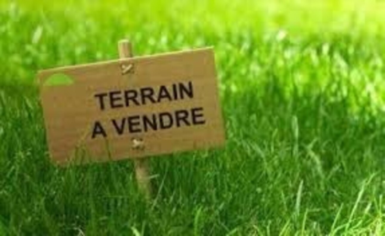 Photos 1 - Land - Dpt Guyane (973), à vendre SINNAMARY terrain agricole de 3285 m²