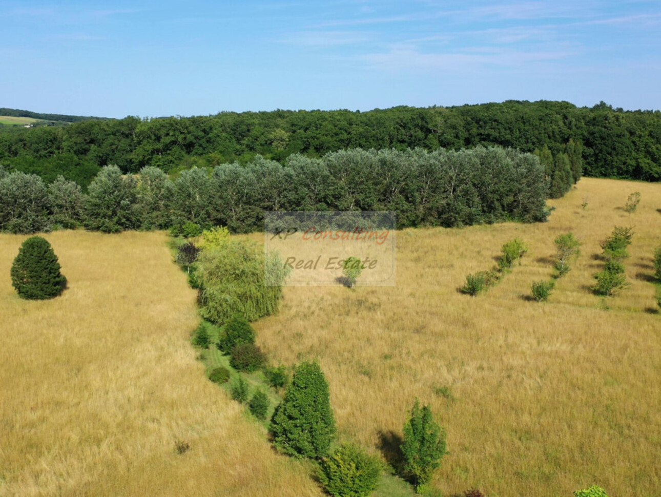 Photos 12 - Equestrian - Propriété sur 6 hectares de nature préservée