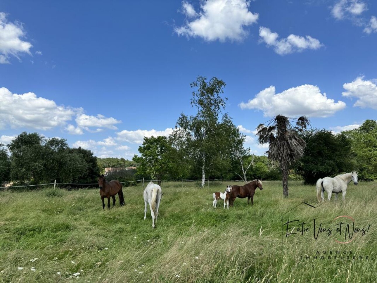 Photos 12 - Equestrian - Propriété idéal chevaux, gîtes ou artisan, 1,9 hectares