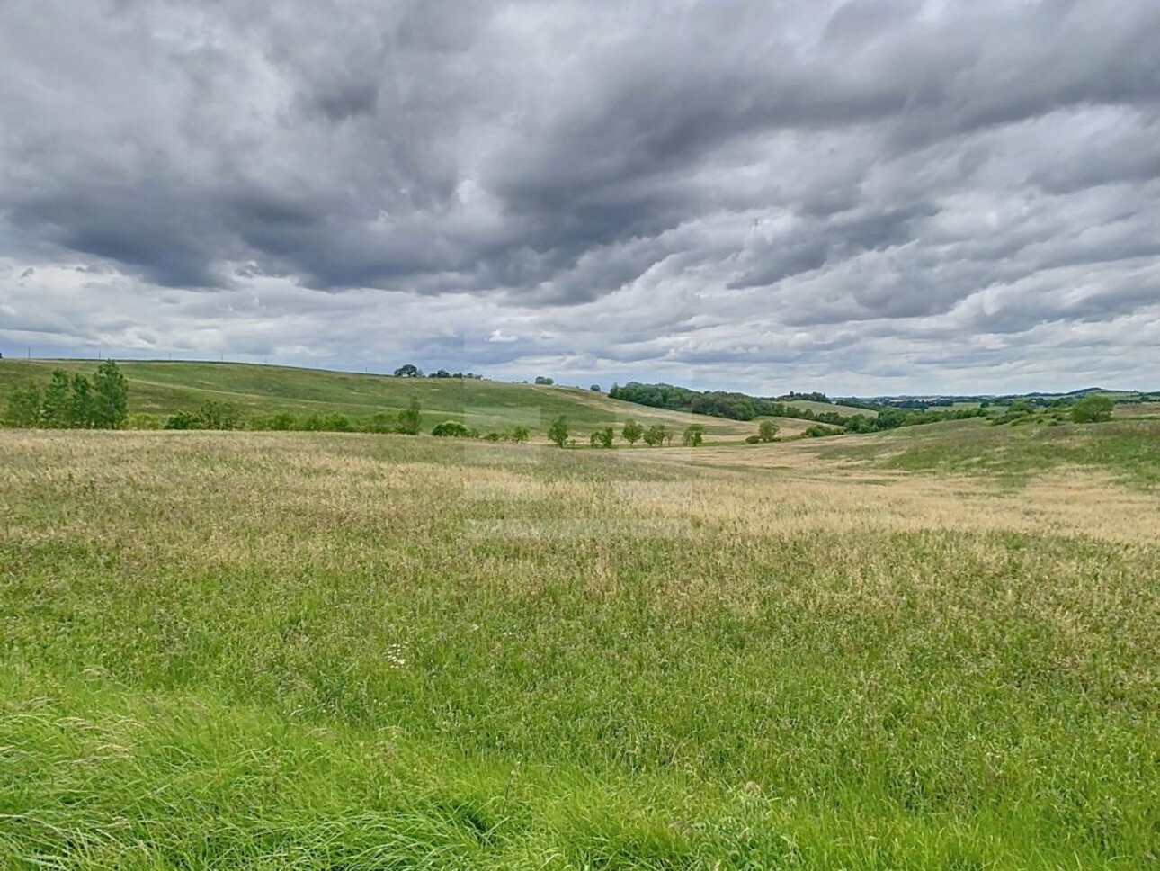 Photos 1 - Foncière - Terrain agricole