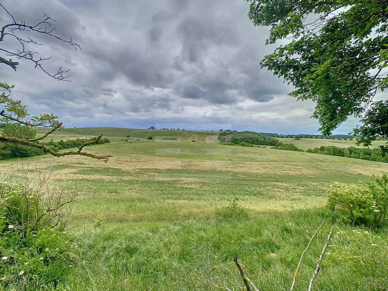 Photos 3 - Foncière - Terrain agricole