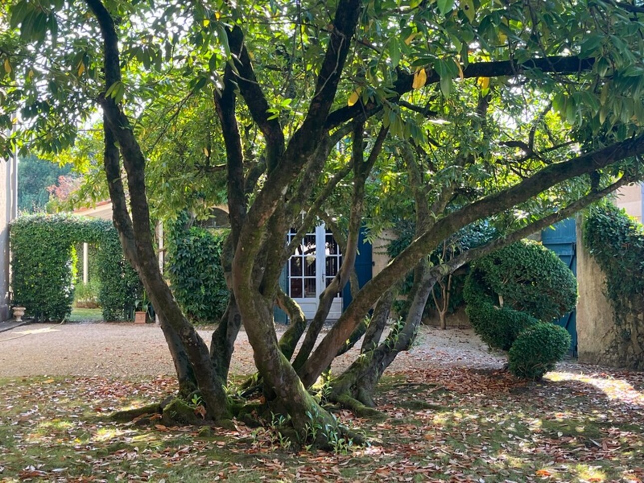 Photos 20 - Prestige - ELEGANTE MAISON DE NOTABLE à Marciac (32), sans travaux, avec maison d'artistes ou gîte, parc séculaire clos de murs