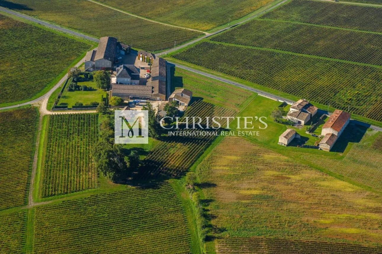 Photos 3 - Viticole - Très beau domaine viticole - satellite de  Saint-Emilion avec luxueux Château