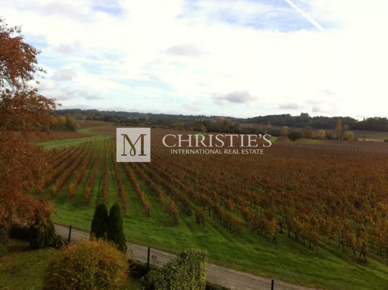 Photos 14 - Viticole - Très beau domaine viticole - satellite de  Saint-Emilion avec luxueux Château