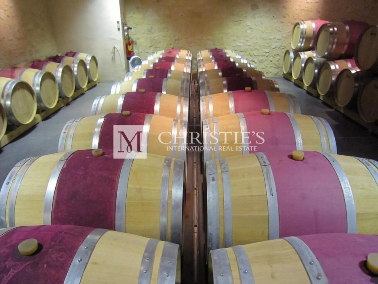 Photos 17 - Vineyard - For sale beautiful vineyard estate - Saint-Emilion satellite with luxury Château