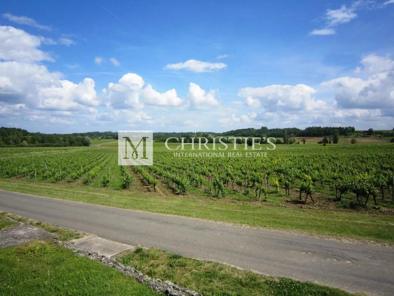 Photos 21 - Viticole - Très beau domaine viticole - satellite de  Saint-Emilion avec luxueux Château