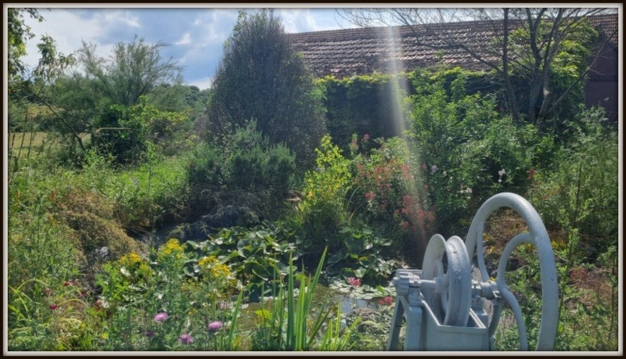 Photos 11 - Touristique - Dpt Allier (03), à vendre proche de LAPALISSE propriété comprenant deux maisons, dépendances, et 18 hectares de terrain