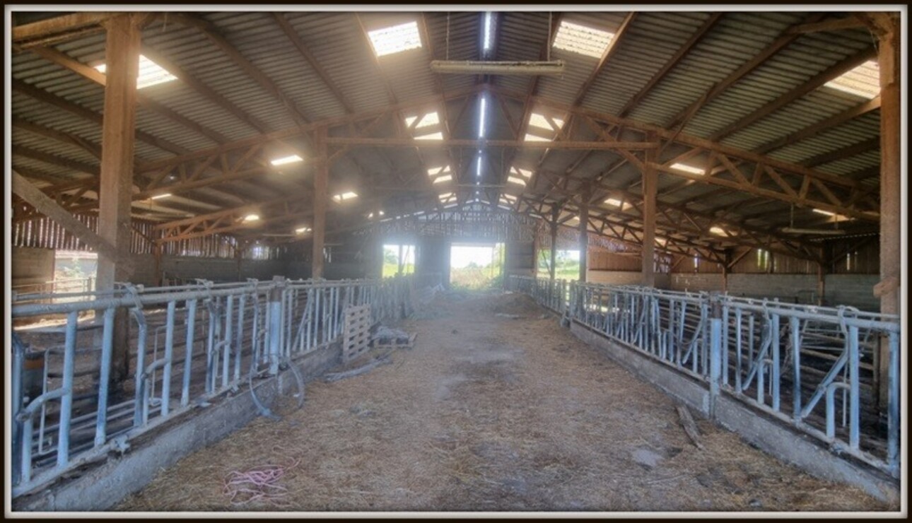 Photos 14 - Touristique - Dpt Allier (03), à vendre proche de LAPALISSE propriété comprenant deux maisons, dépendances, et 18 hectares de terrain