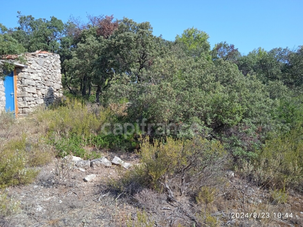 Photos 5 - Land - MAGNIFICENT AGRICULTURAL LAND OF APPROXIMATELY 3HA, FLAT AND STREET