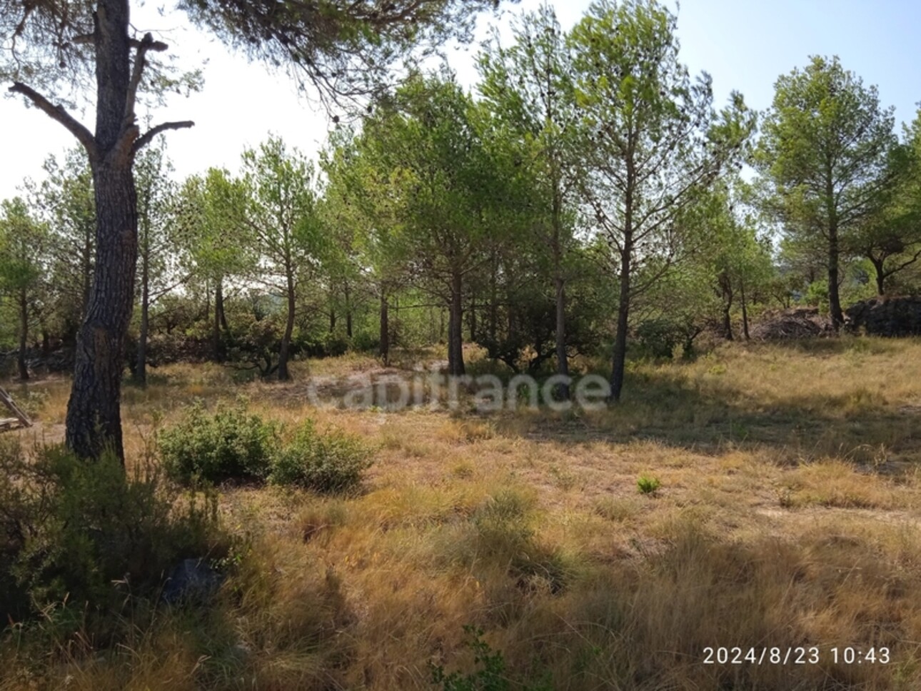 Photos 6 - Land - MAGNIFICENT AGRICULTURAL LAND OF APPROXIMATELY 3HA, FLAT AND STREET