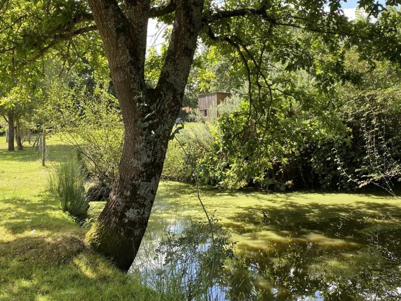 Photos 3 - Équestre - Maison de campagne