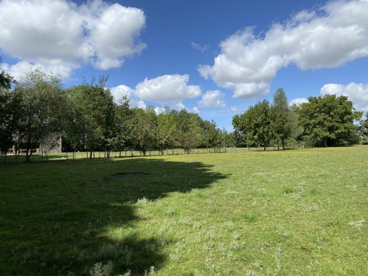 Photos 11 - Équestre - Maison de campagne