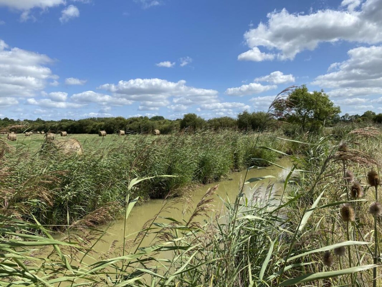 Photos 12 - Équestre - Maison de campagne