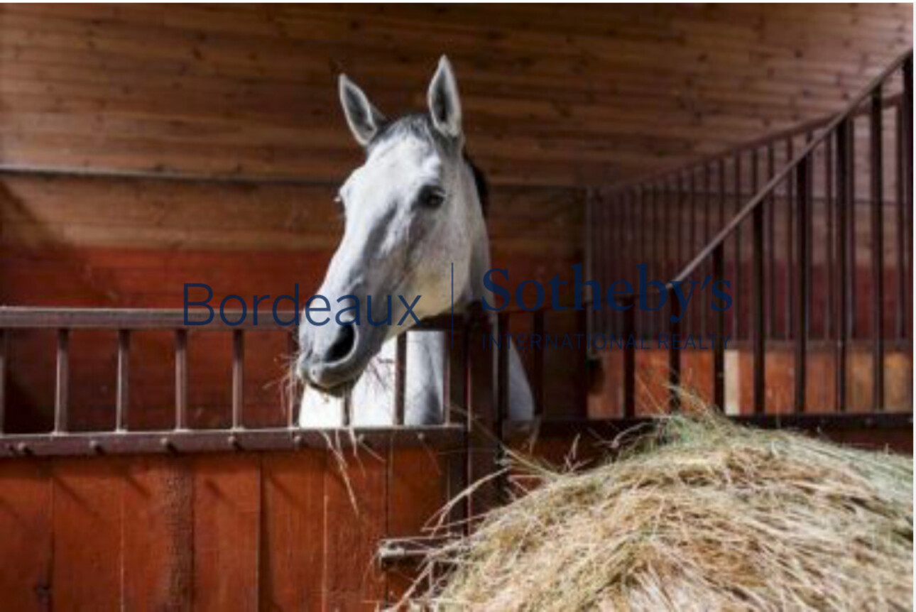 Photos 2 - Equestrian - 20 MN DRIVE FROM BORDEAUX - EXCEPTIONAL PROPERTY - 4HCT  - OUTBUILDINGS