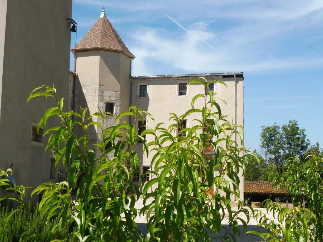 Photos 2 - Prestigious - Château entre Lyon et Genève