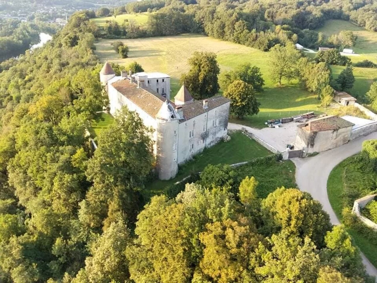 Photos 3 - Prestigious - Château entre Lyon et Genève