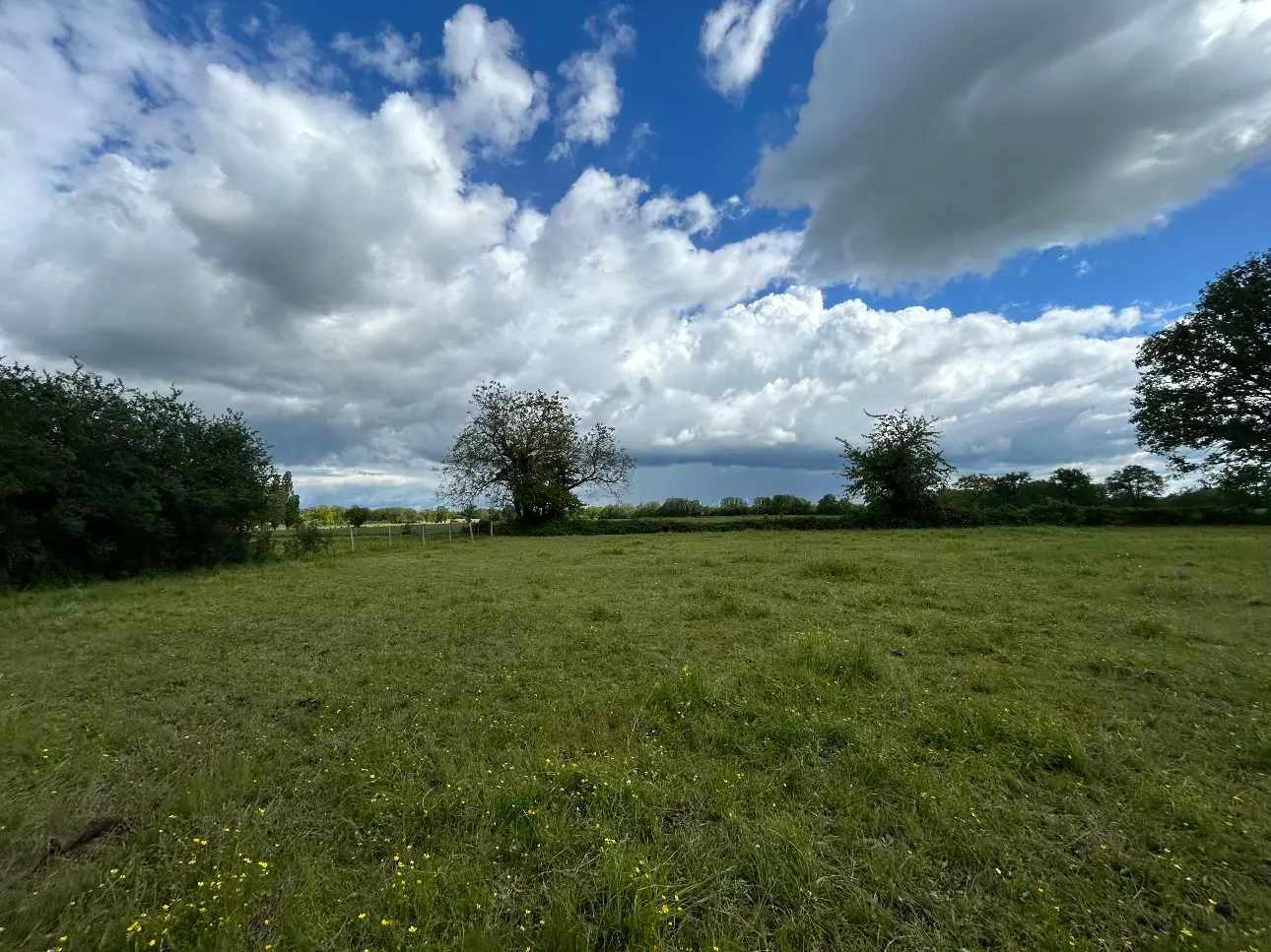 Photos 2 - Équestre - Charmante maison sur 2 ha