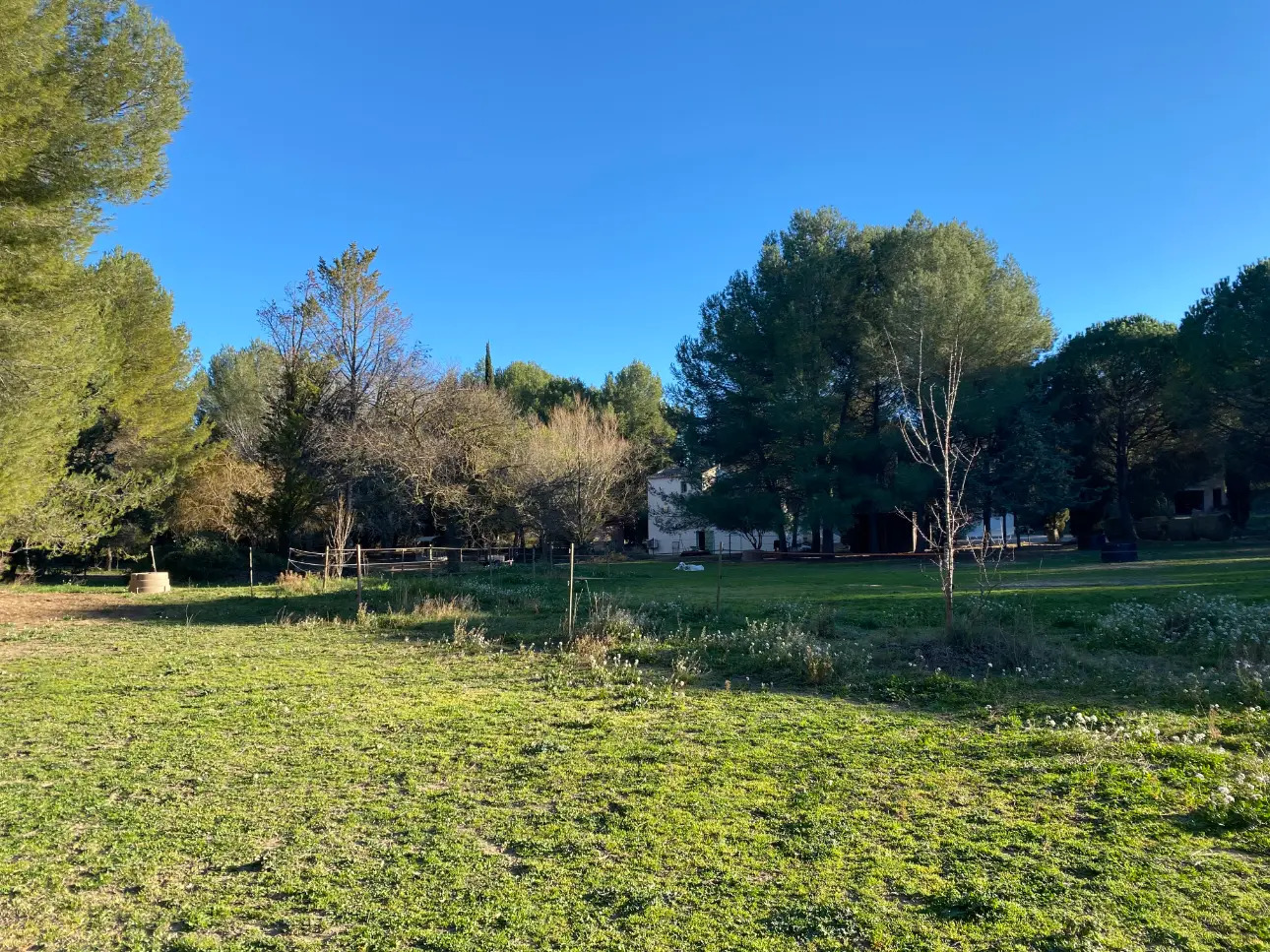 Photos 2 - Équestre - Propriété équestre sur 5 hectares à Poussan