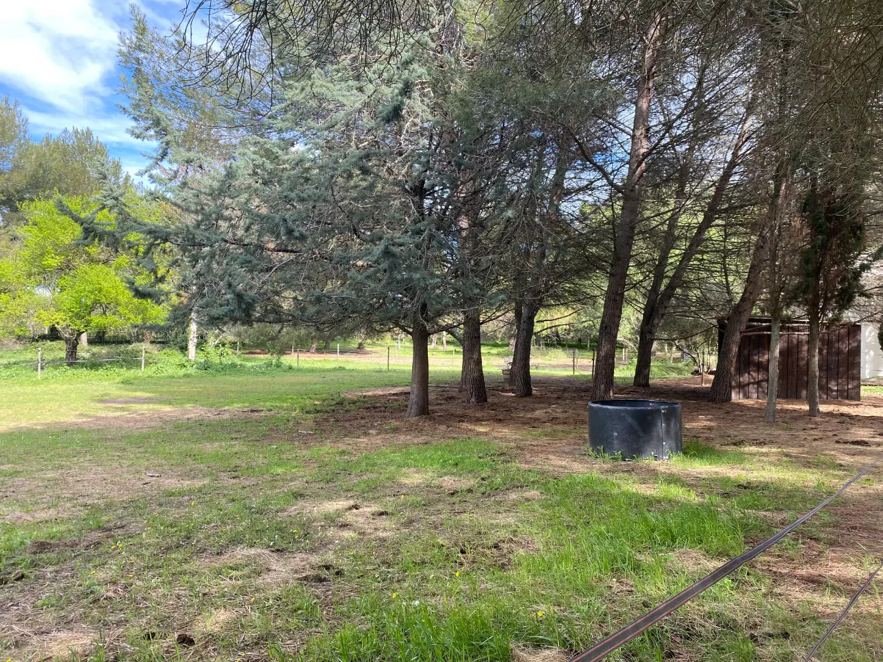 Photos 5 - Équestre - Propriété équestre sur 5 hectares à Poussan