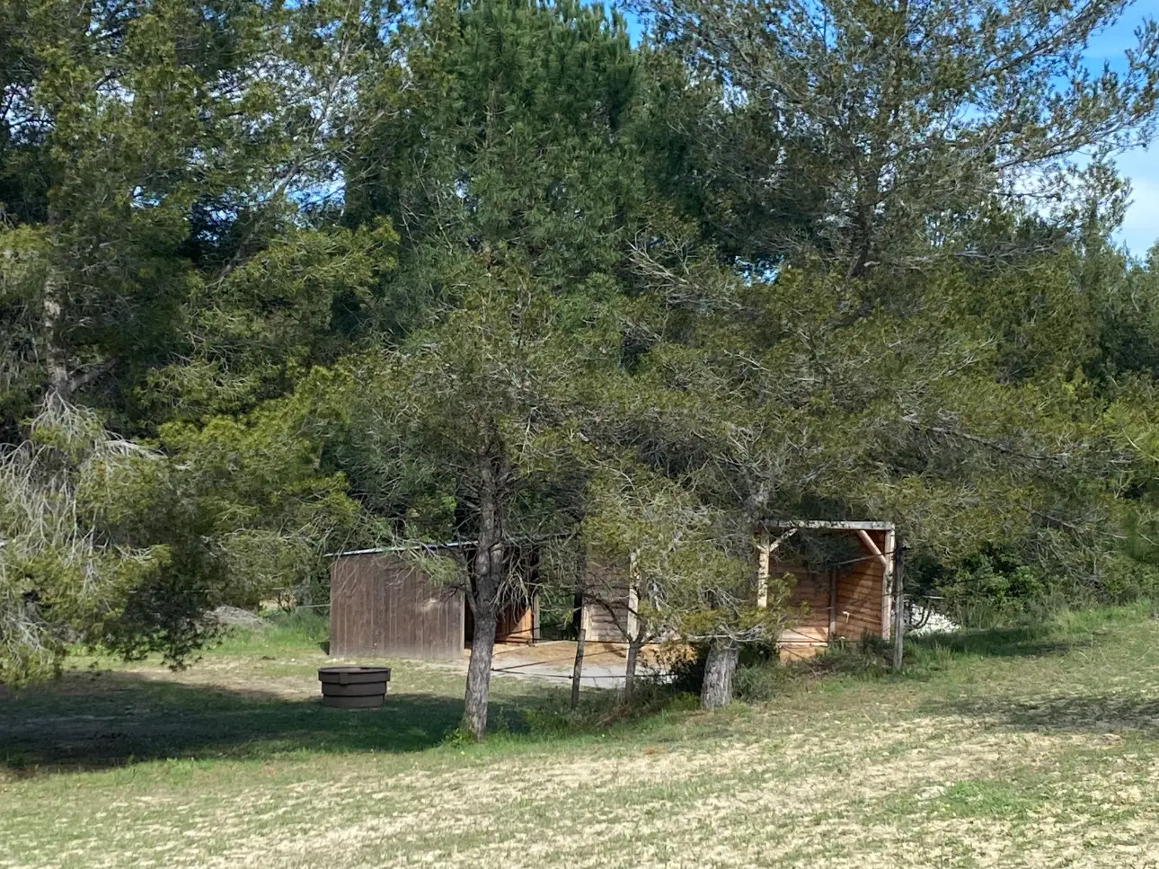 Photos 7 - Équestre - Propriété équestre sur 5 hectares à Poussan