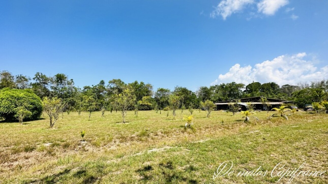 Photos 13 - Tourist - Dpt Guyane (973), à vendre KOUROU PROPRIÉTÉ AGRICOLE