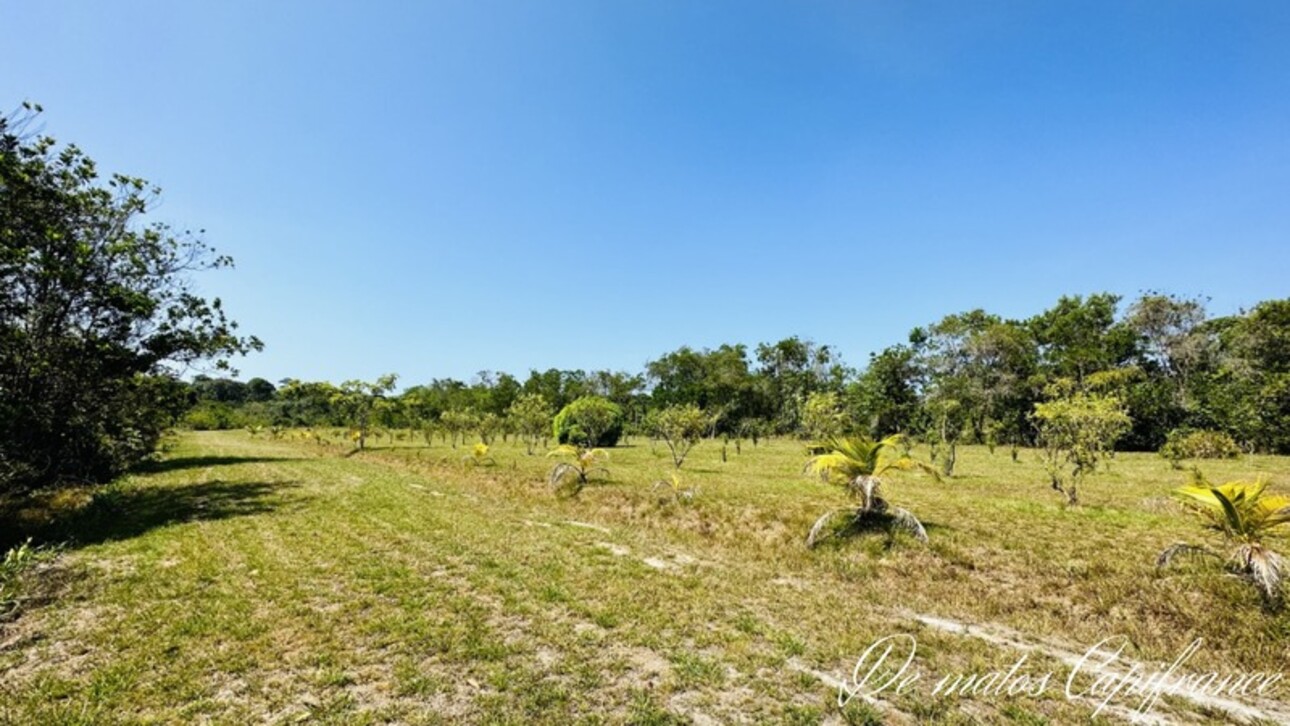 Photos 14 - Tourist - Dpt Guyane (973), à vendre KOUROU PROPRIÉTÉ AGRICOLE