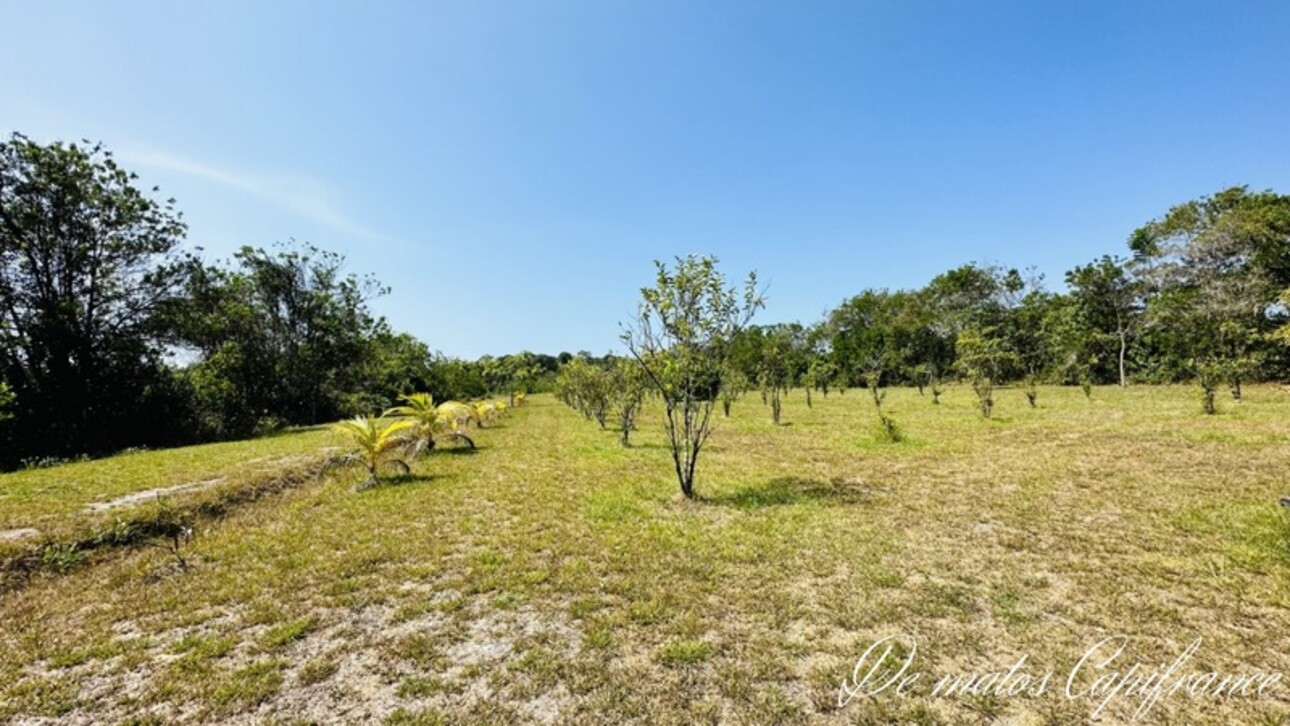 Photos 18 - Tourist - Dpt Guyane (973), à vendre KOUROU PROPRIÉTÉ AGRICOLE