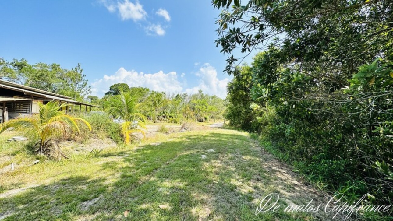 Photos 20 - Tourist - Dpt Guyane (973), à vendre KOUROU PROPRIÉTÉ AGRICOLE