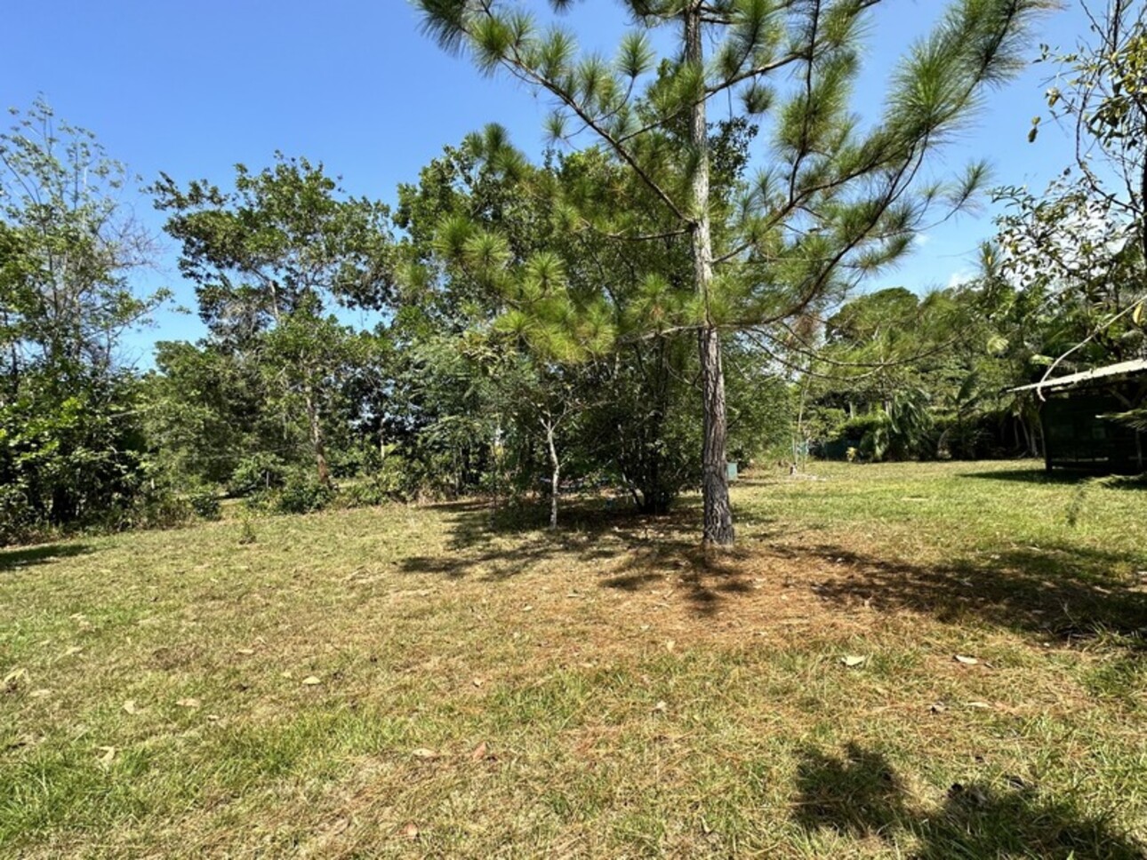 Photos 22 - Tourist - Dpt Guyane (973), à vendre KOUROU PROPRIÉTÉ AGRICOLE