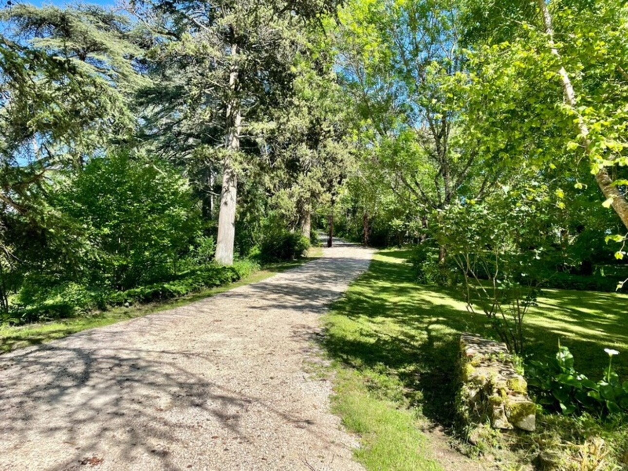 Photos 2 - Équestre - Dpt Gers (32), à vendre LUPIAC propriete P10 de 448 m² - Terrain de 16,55 Ha