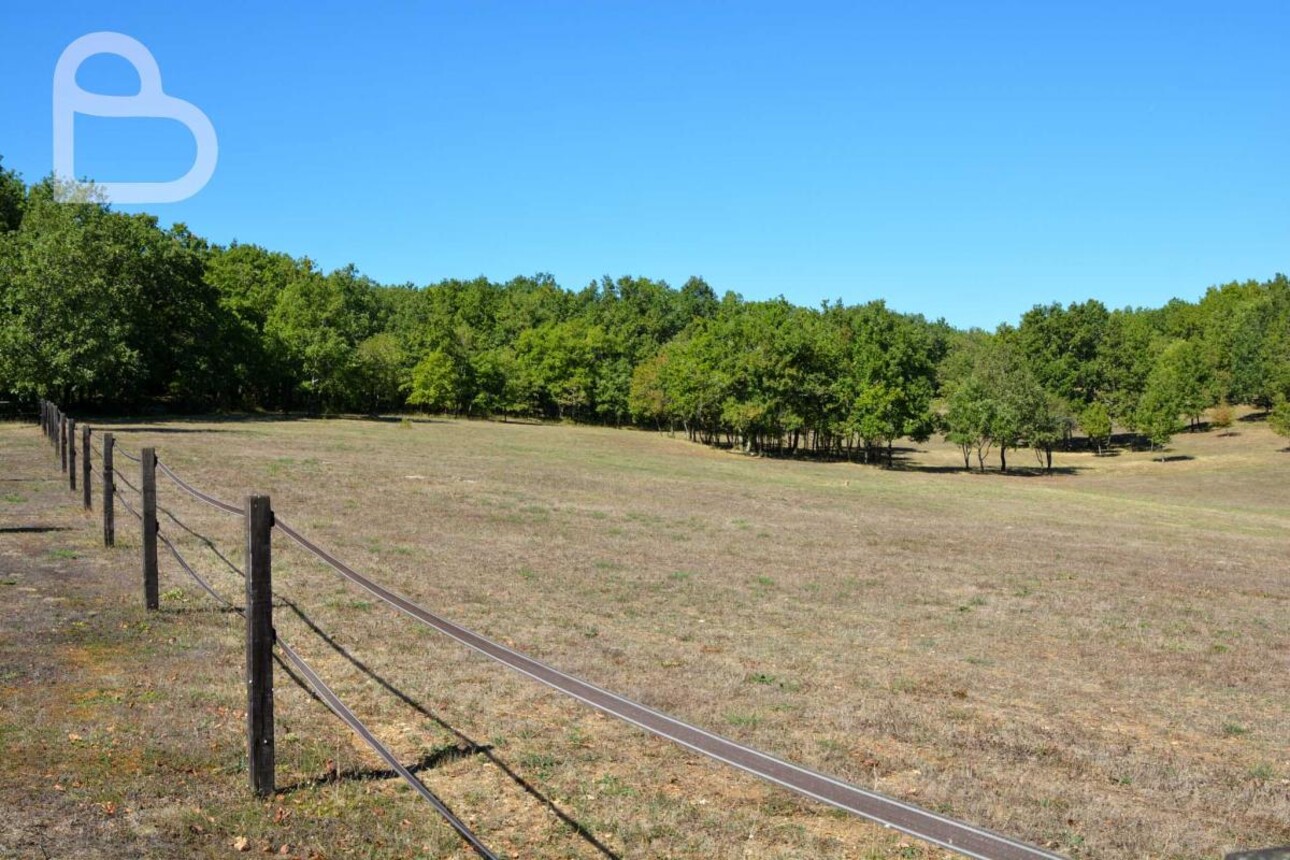 Photos 6 - Equestrian - Quercy farm with 7ha of meadows with pool and horse boxes