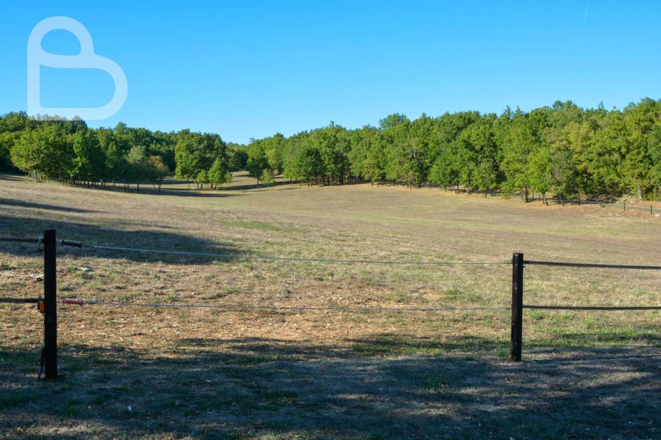 Photos 7 - Equestrian - Quercy farm with 7ha of meadows with pool and horse boxes