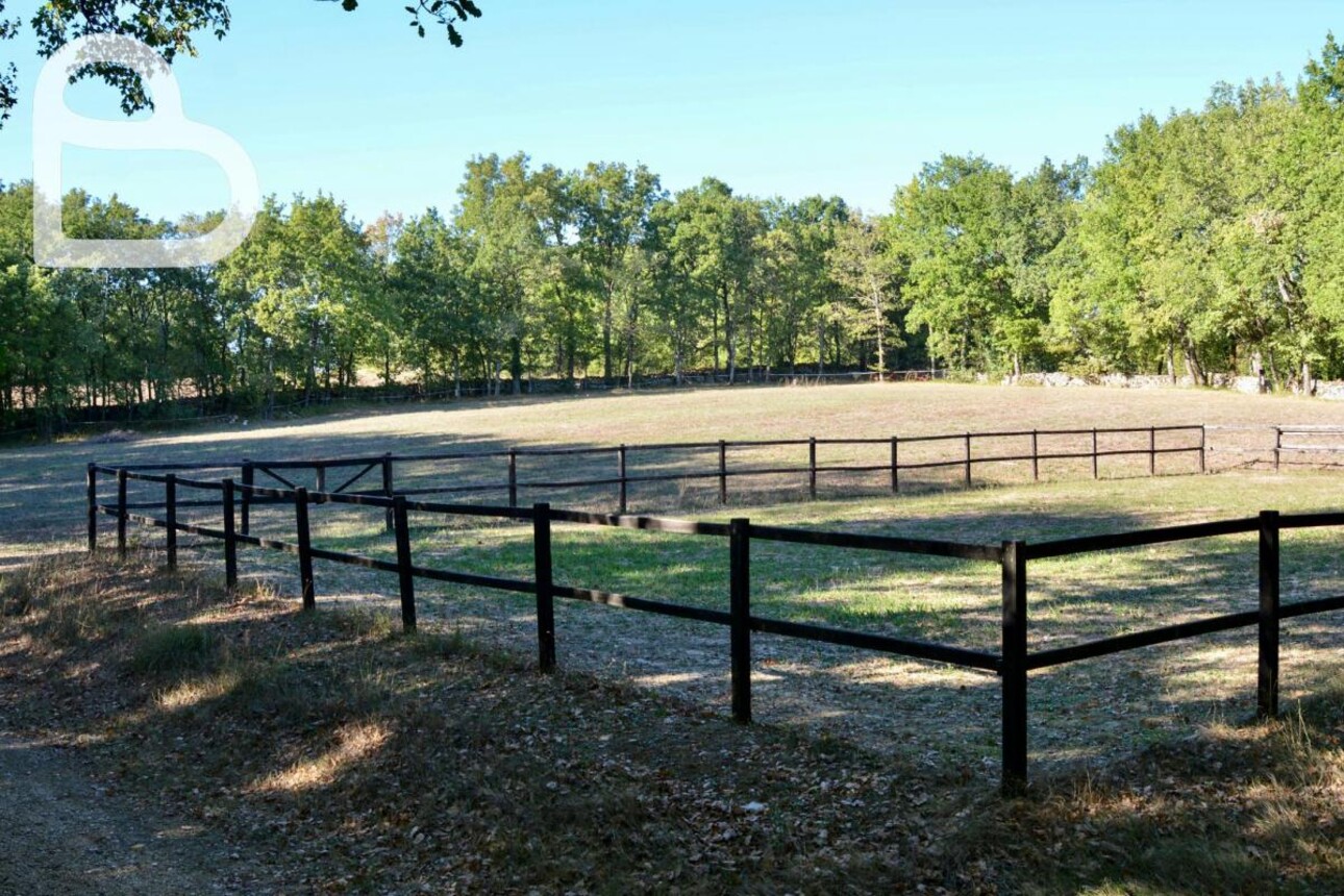 Photos 8 - Equestrian - Quercy farm with 7ha of meadows with pool and horse boxes