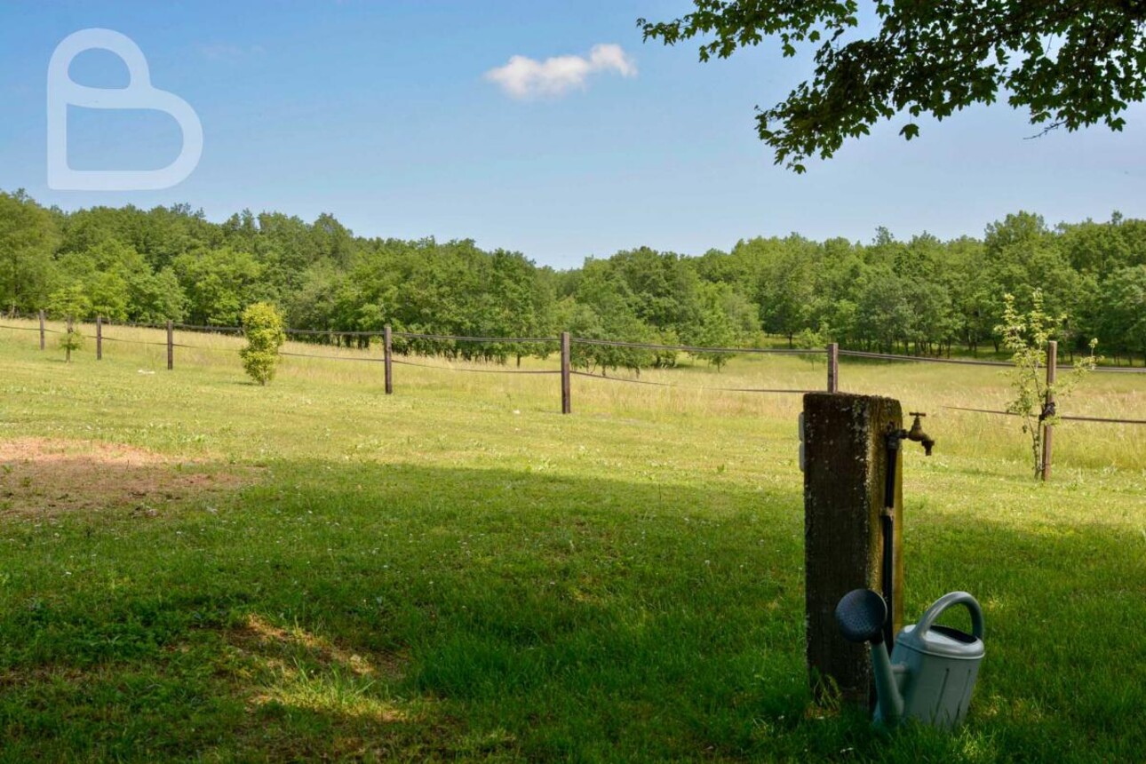 Photos 29 - Equestrian - Quercy farm with 7ha of meadows with pool and horse boxes