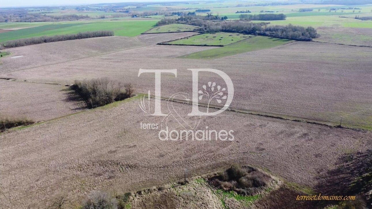 Photos 1 - Agricole - Terres céréalières sur 38 hectares