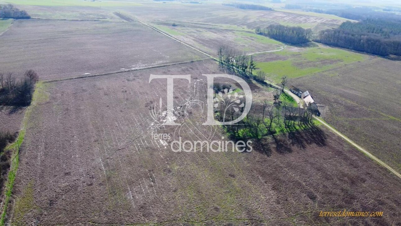 Photos 2 - Agricole - Propriété mixte de 197 hectares