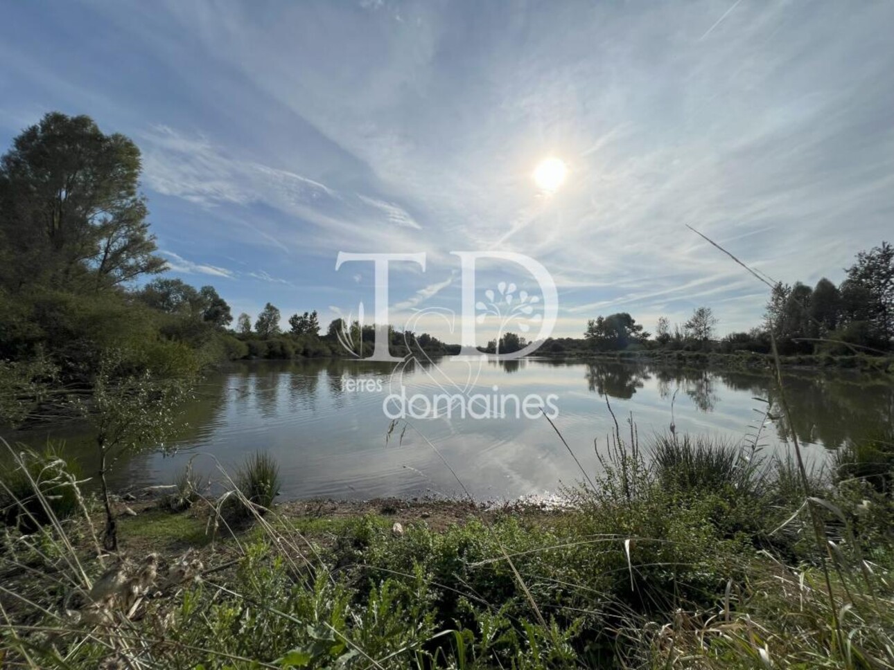 Photos 7 - Agricole - Propriété mixte de 197 hectares