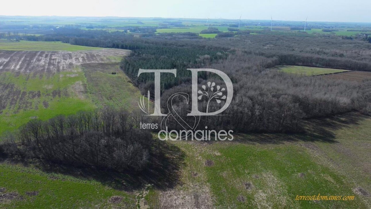 Photos 11 - Agricole - Propriété mixte de 197 hectares