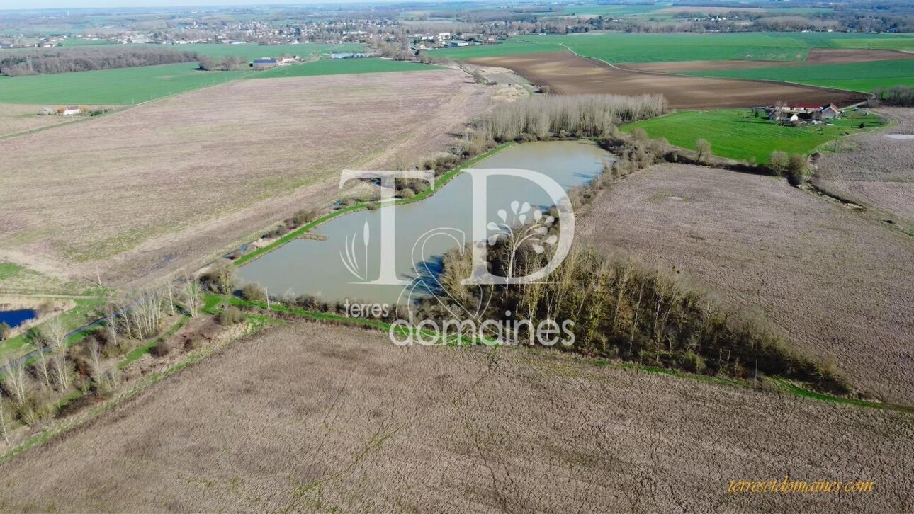 Photos 12 - Agricole - Propriété mixte de 197 hectares