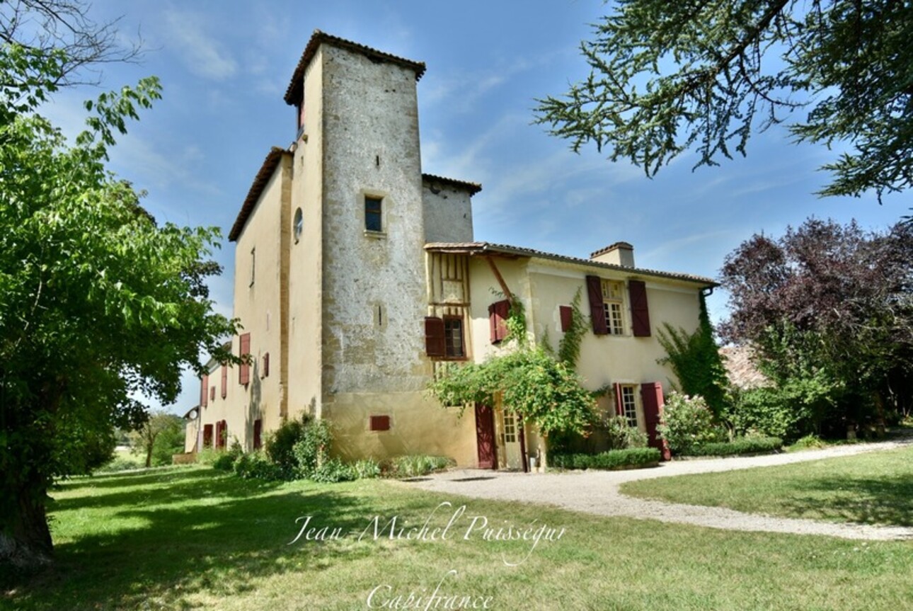 Photos 1 - Prestigious - Dpt Haute Garonne (31), near AURIGNAC, 12th century castle with 5Ha park