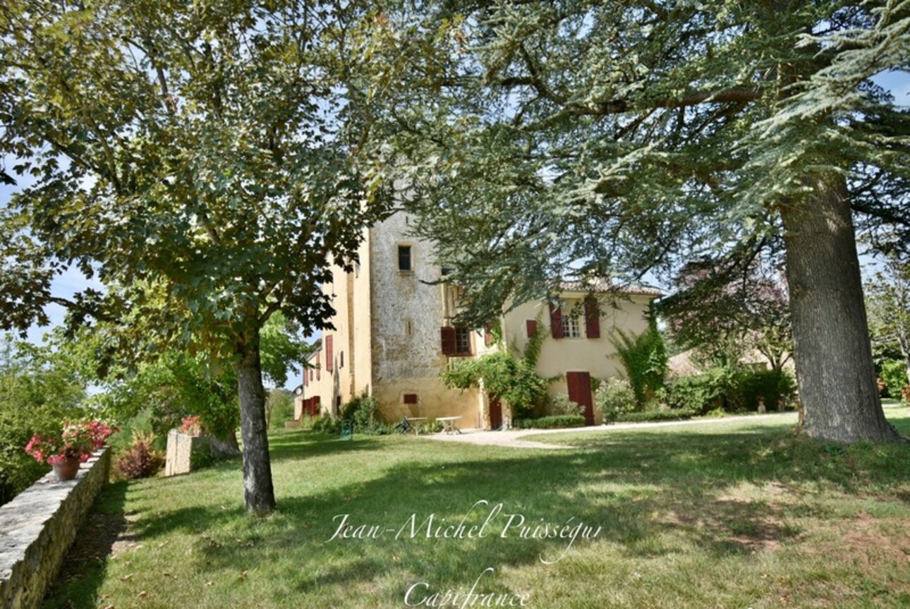 Photos 3 - Prestigious - Dpt Haute Garonne (31), near AURIGNAC, 12th century castle with 5Ha park